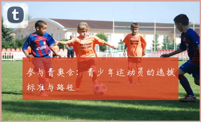 参与青奥会:青少年运动员的选拔标准与路径